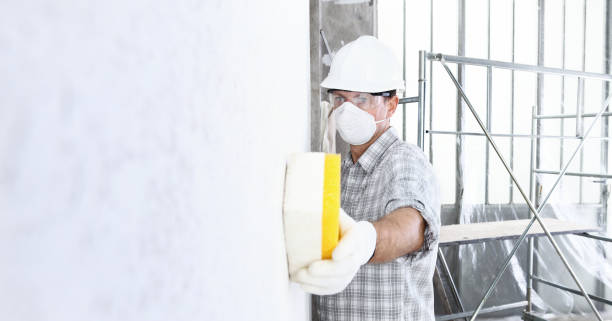 Why You Should Choose Our Mold Remediation Services in Stateburg, SC